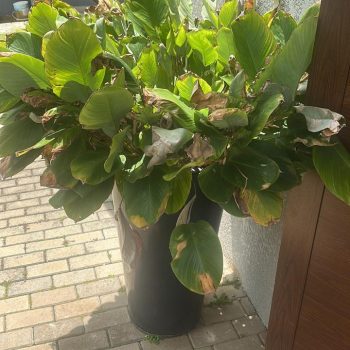 WhatsApp Image 2026-04-09 at 15.13.19 (2)