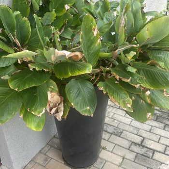 WhatsApp Image 2026-04-09 at 15.13.19 (3)